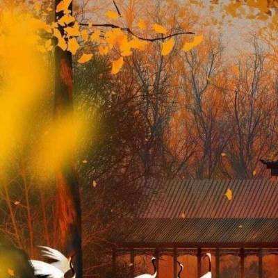 安徽黟县：徽州特色年猪宴 带火冬季乡村游